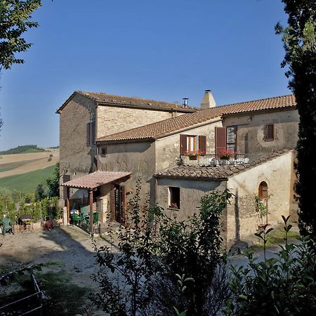 Agriturismo Podere Olivello In Val D'Orcia Montalcino Zewnętrze zdjęcie