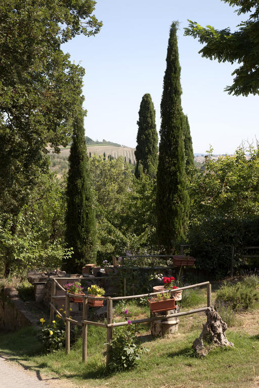 Agriturismo Podere Olivello In Val D'Orcia Montalcino Zewnętrze zdjęcie