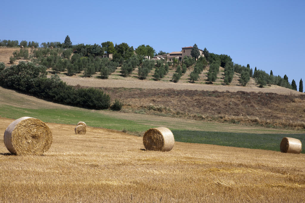 Agriturismo Podere Olivello In Val D'Orcia Montalcino Zewnętrze zdjęcie