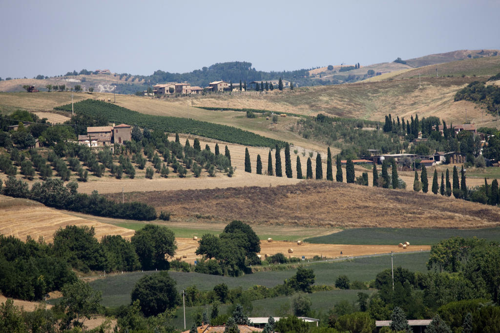 Agriturismo Podere Olivello In Val D'Orcia Montalcino Zewnętrze zdjęcie